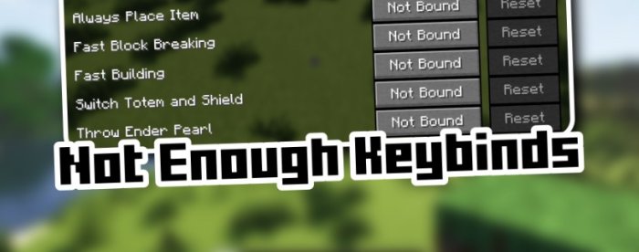 Not Enough Keybinds для Майнкрафт [1.21.1, 1.21, 1.20.6]