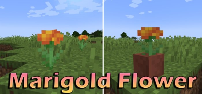 Marigold Flower для Майнкрафт [1.21.1, 1.21, 1.20.4]