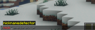 Nickname Detector для Майнкрафт [1.21.11, 1.21.10, 1.21.7]